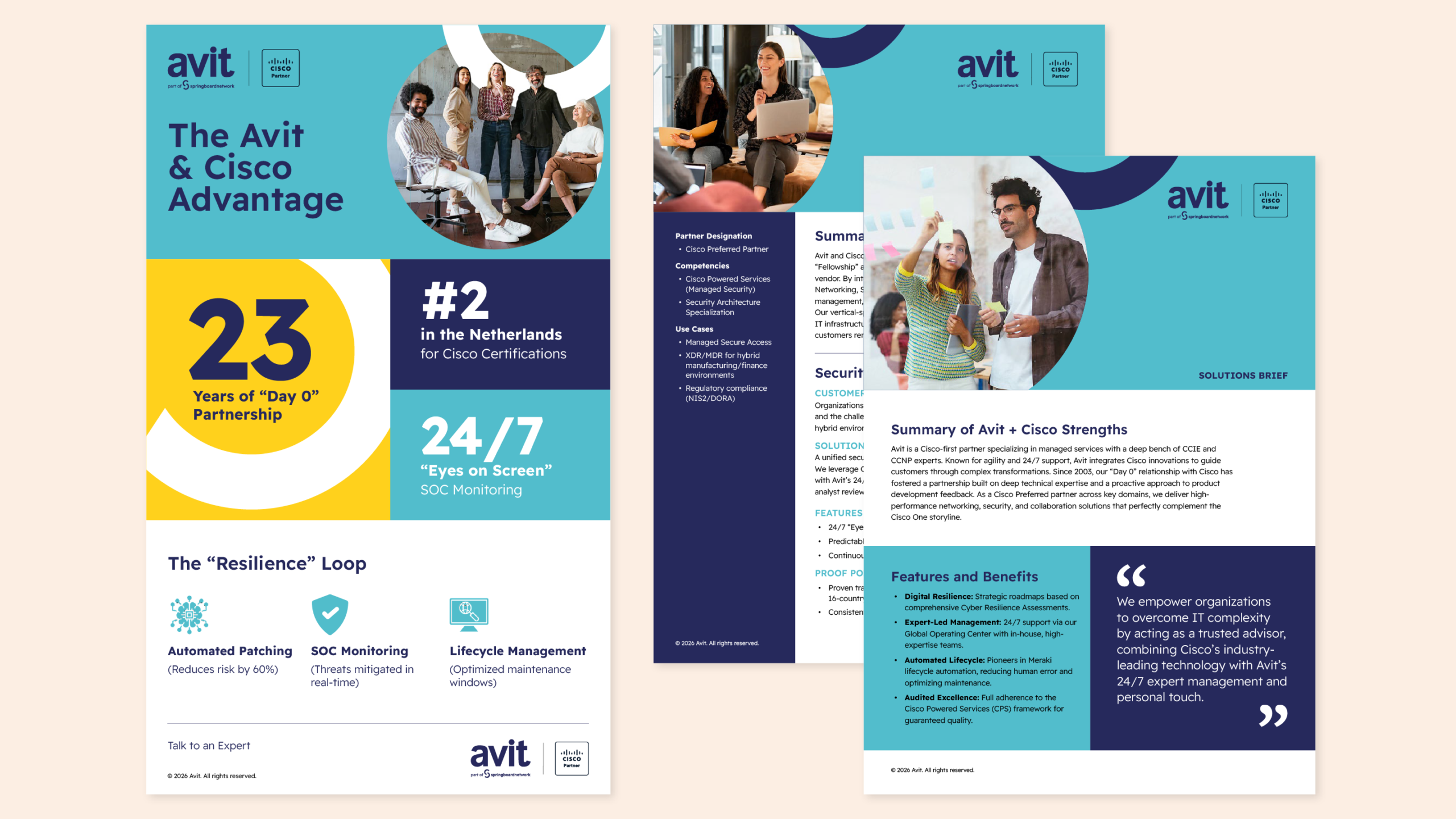 Infographic and Sales & Solutions briefs, Avit