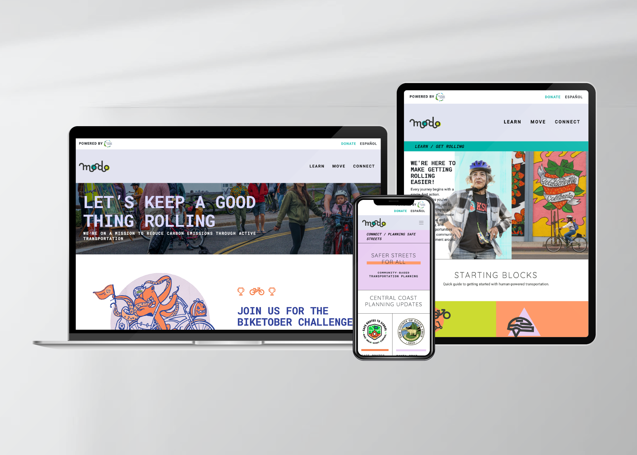 Web design & development