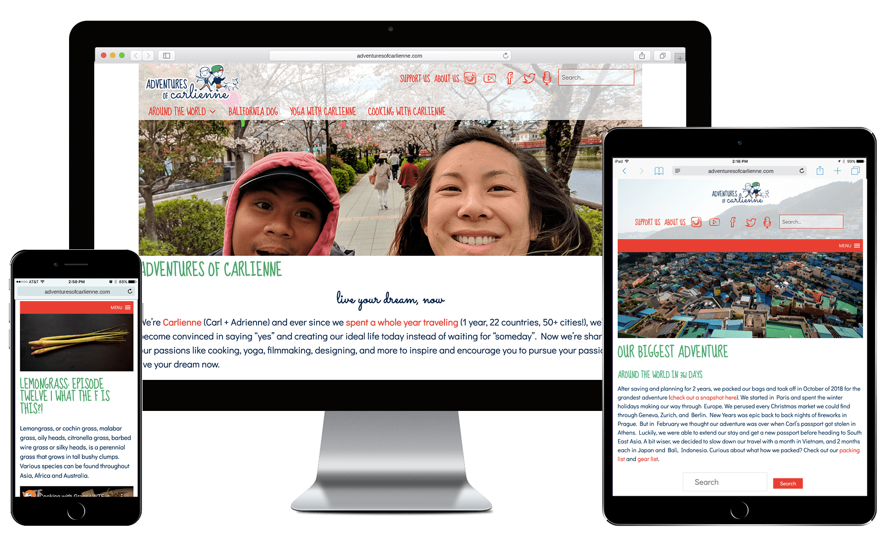 Web design & development