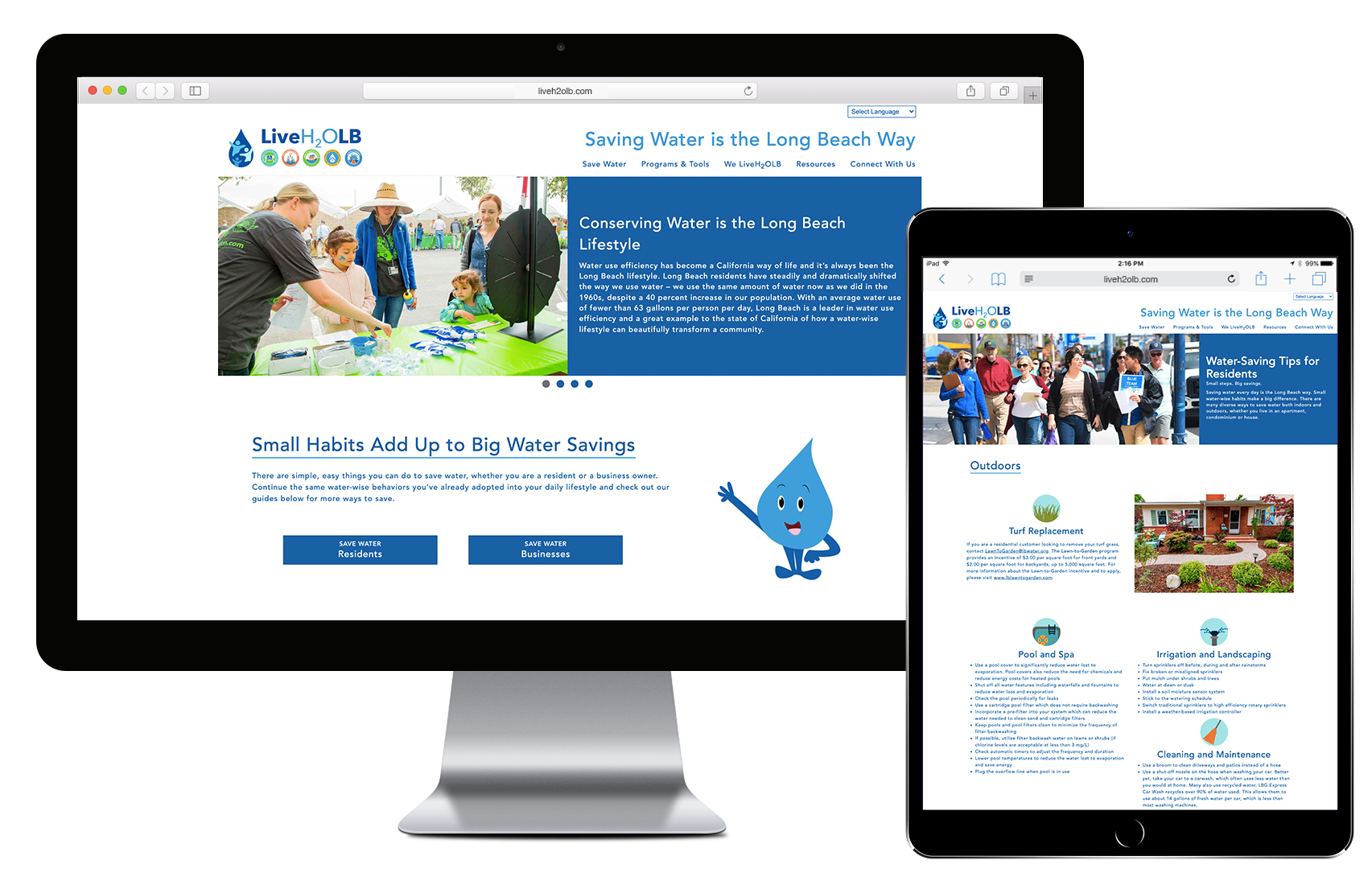 Web design & development