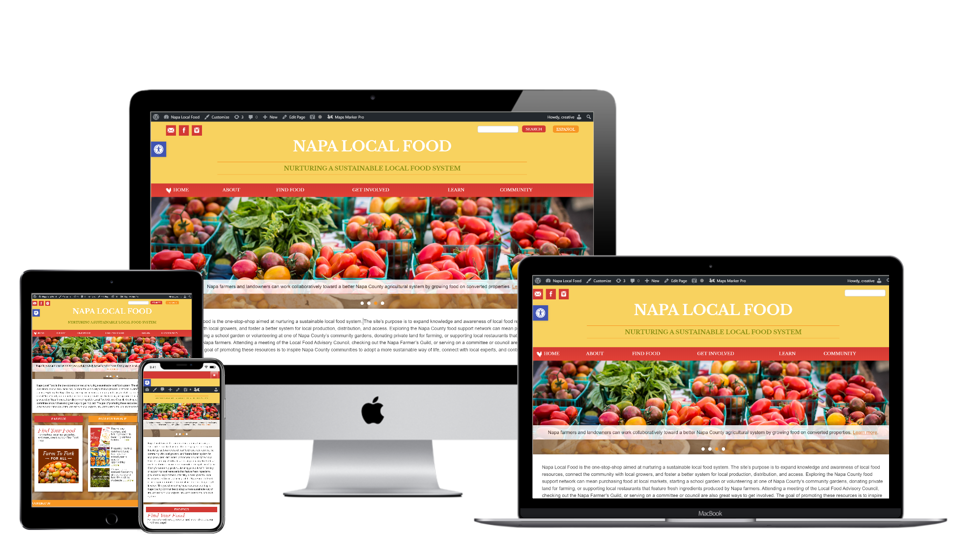web design & development, phase 2