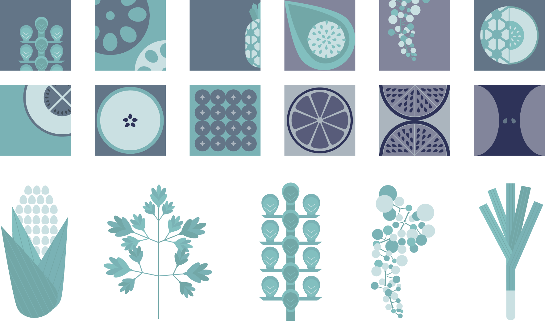 Food Illustration set